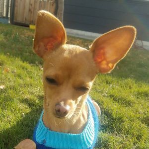 Meet your Posher, Miriam